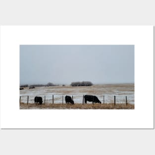 Cows in the Mist 2 Posters and Art